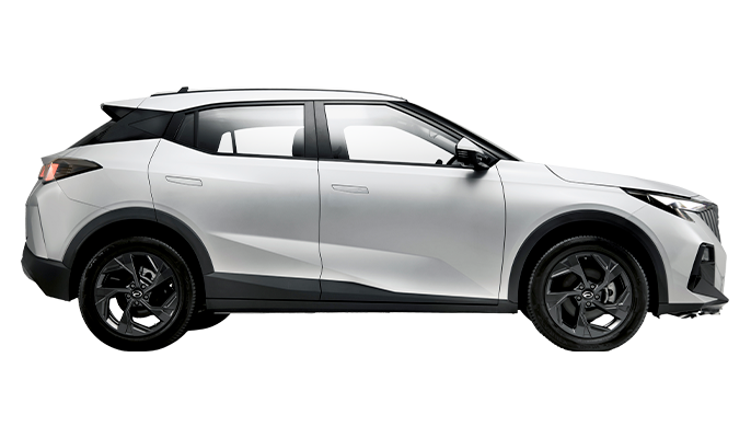 GAC Emzoom Or Similar — 45°